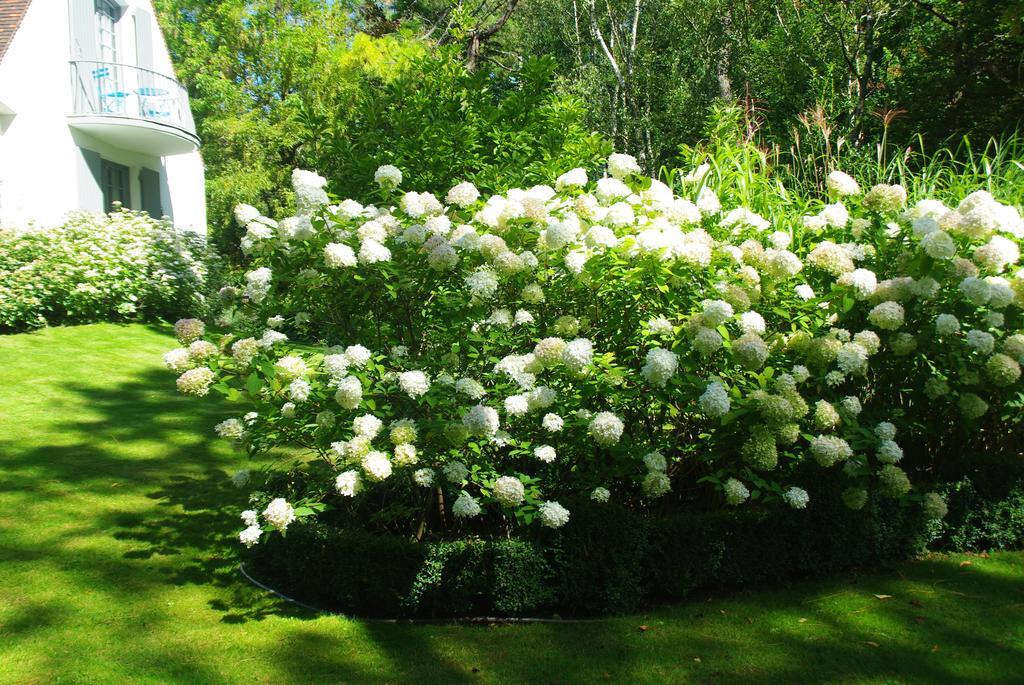 So Touquet Bed and Breakfast Le Touquet Exteriör bild
